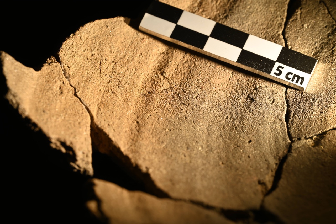 Guillaume Florent - Photo 1