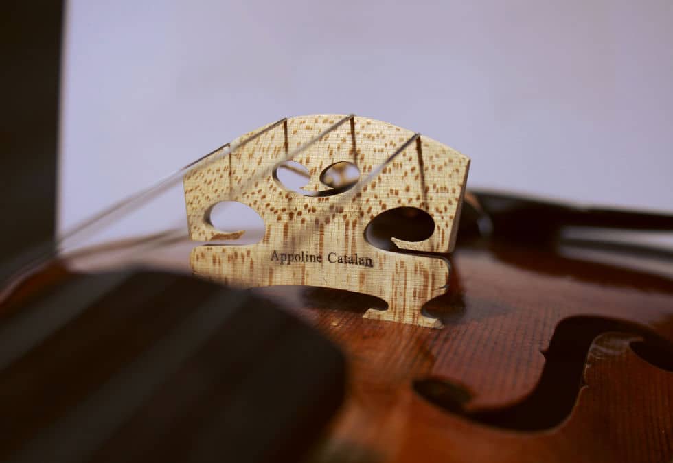 Appoline Catalan - Photo 2