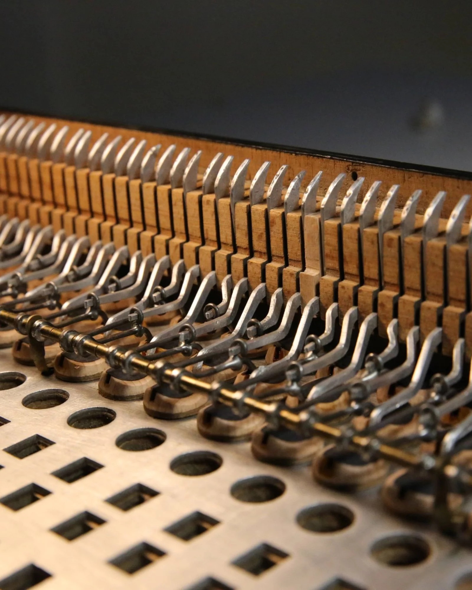 Paul Pichot - Photo 1