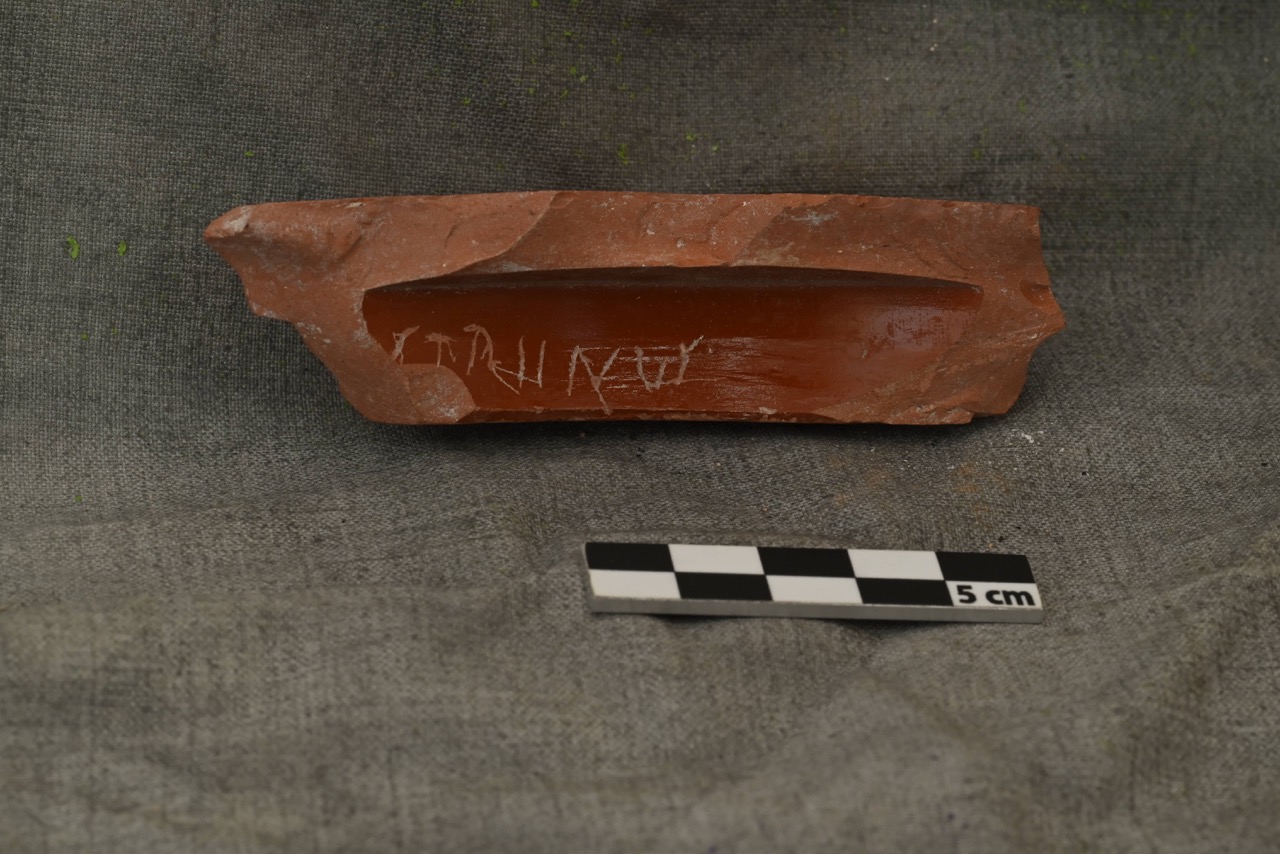 Guillaume Florent - Photo 3